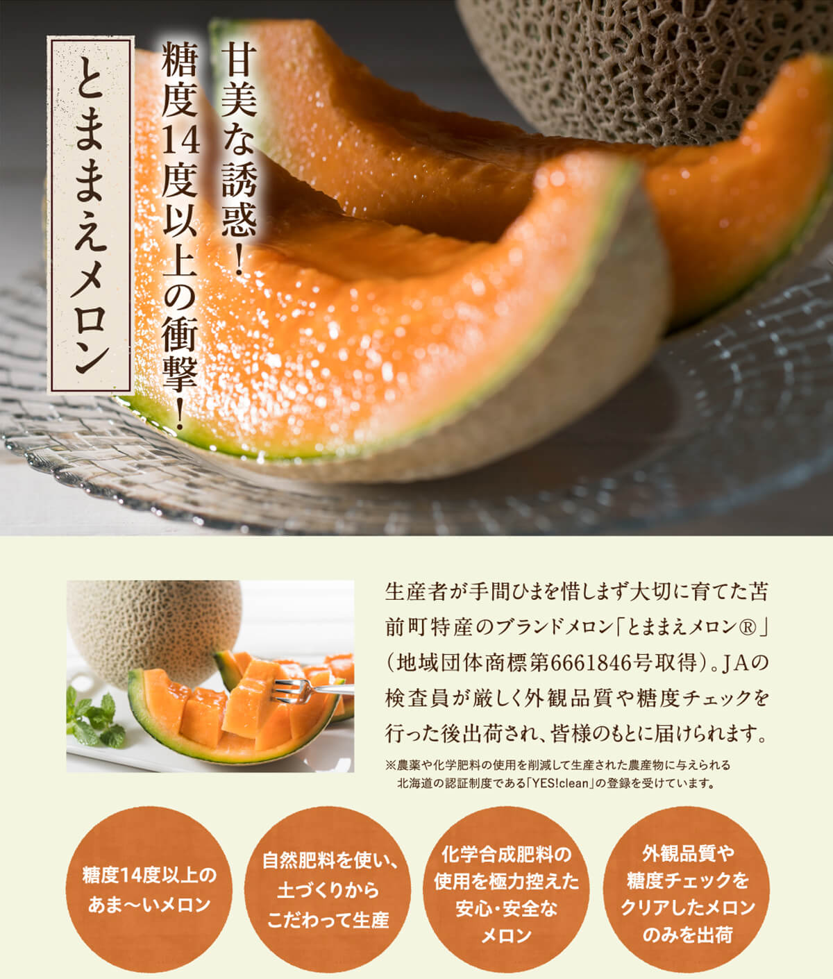 とままえメロン 甘美な誘惑！糖度14度以上の衝撃！ 温度管理、水管理など生産者が手間ひまを惜しまず育てた苫前町のメロン。安心な「YES！clean※」制度の認定を受けています。JAの検査員が厳しく外観品質や糖度チェックを行った後出荷され、皆様のもとに届けられます。※「YES！clean」とは農薬や化学肥料の使用を削減して生産された農産物に与えられる北海道の認証制度。