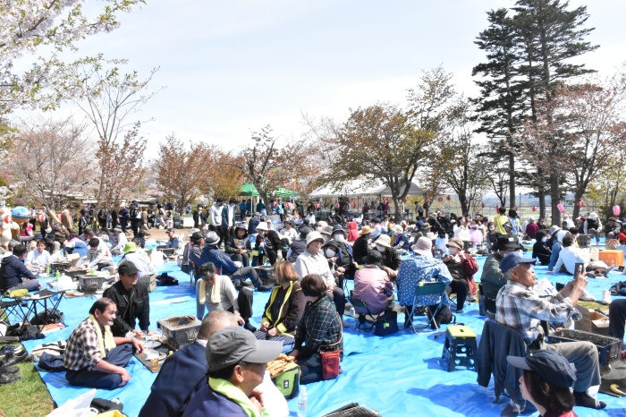 桜祭り