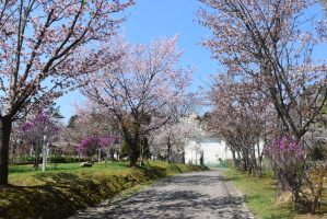公園